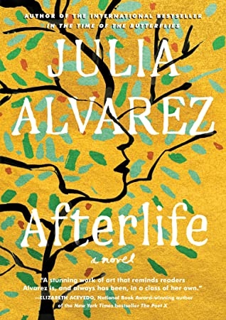Afterlife Cover image of Afterlife