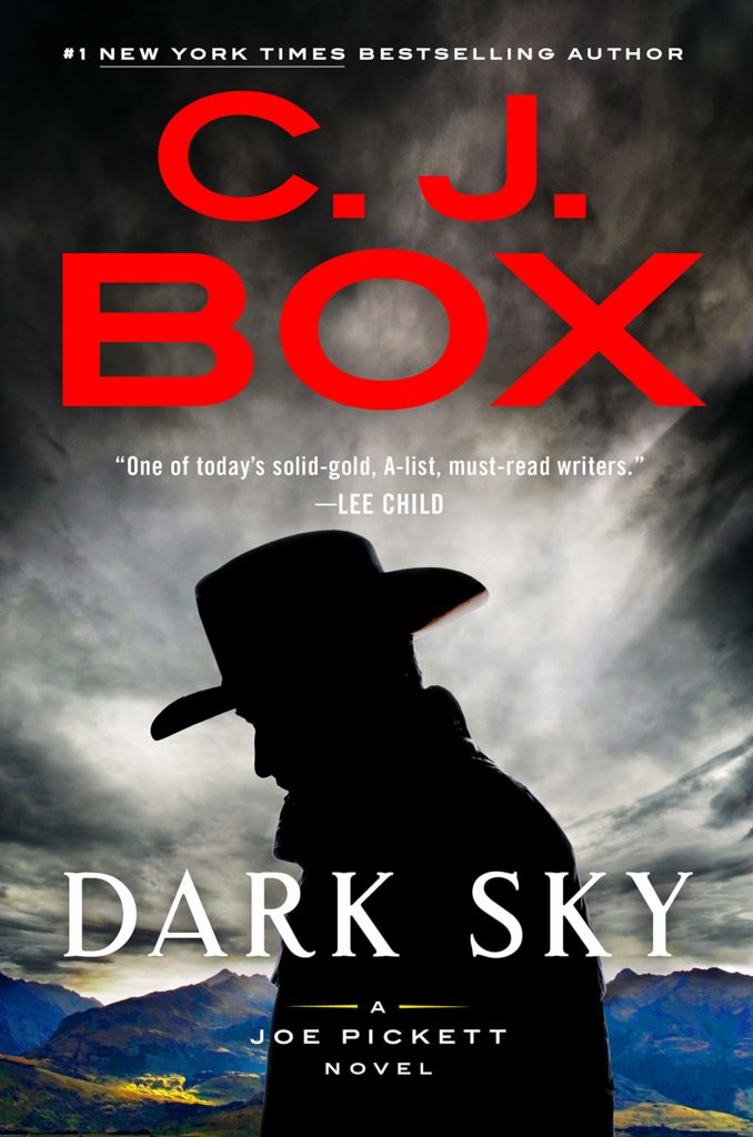 Dark Sky Cover image of Dark Sky